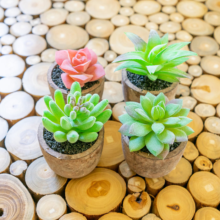 Red Co. Set of 4 Assorted Decorative Faux Succulents, Artificial Potted Plants for Home or Office, Mini