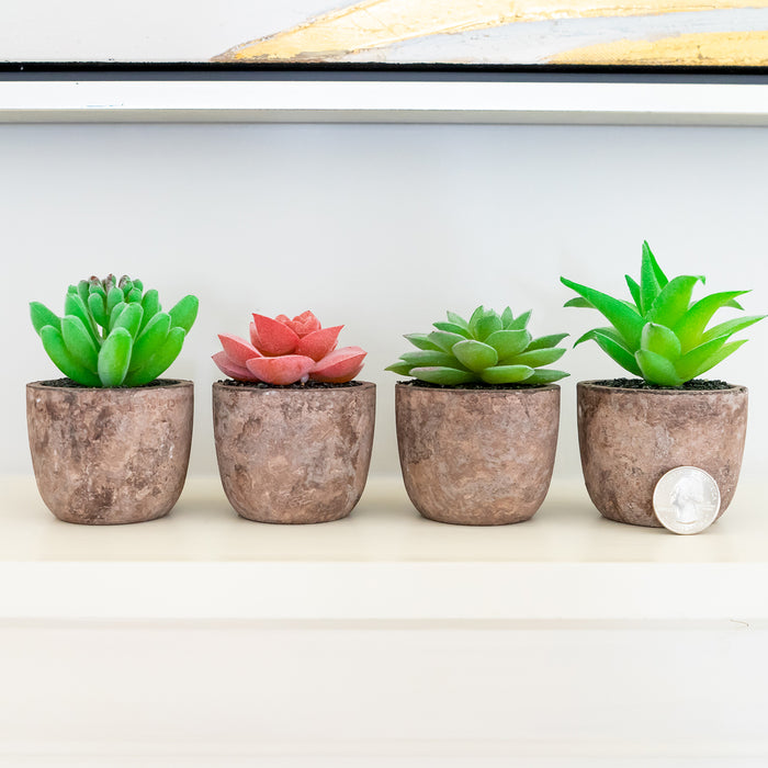 Red Co. Set of 4 Assorted Decorative Faux Succulents, Artificial Potted Plants for Home or Office, Mini