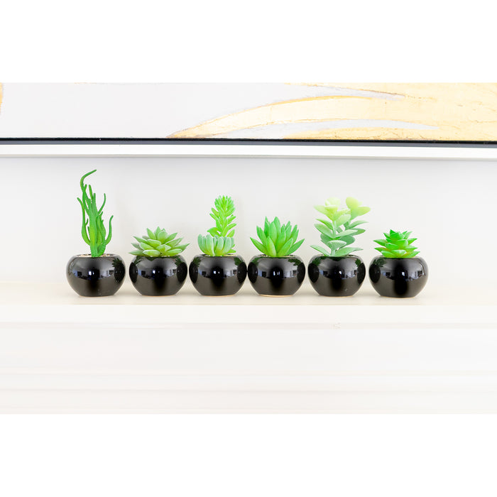 Red Co. Set of 6 Assorted Decorative Faux Succulents, Artificial Potted Plants for Home or Office, Mini