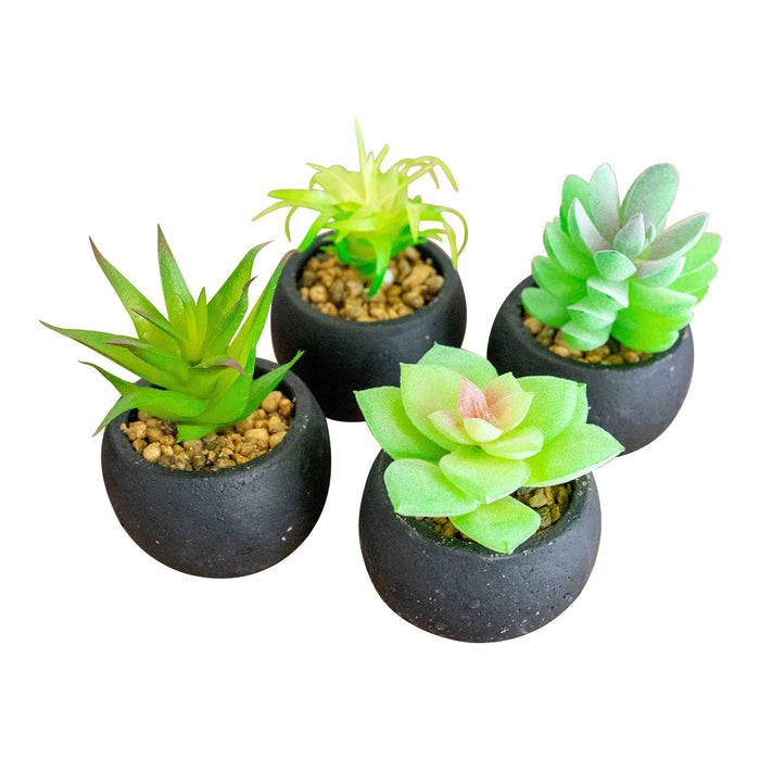 Red Co. Set of 4 Assorted Decorative Faux Succulents, Artificial Potted Plants for Home or Office, Small