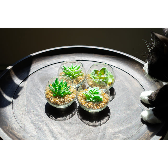 Red Co. Set of 4 Assorted Decorative Faux Succulents, Artificial Potted Plants for Home or Office, Small