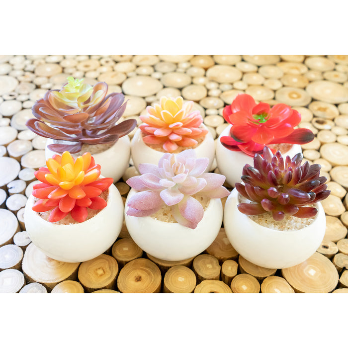 Red Co. Set of 6 Assorted Decorative Faux Succulents, Artificial Potted Plants for Home or Office, Small