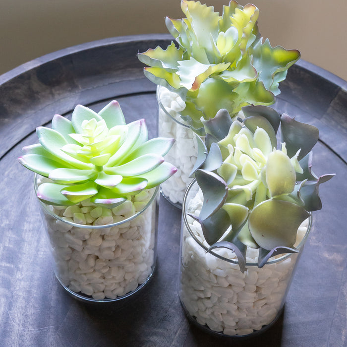 Set of 3 Assorted Decorative Faux Succulents, Artificial Potted Plants for Home or Office, Medium