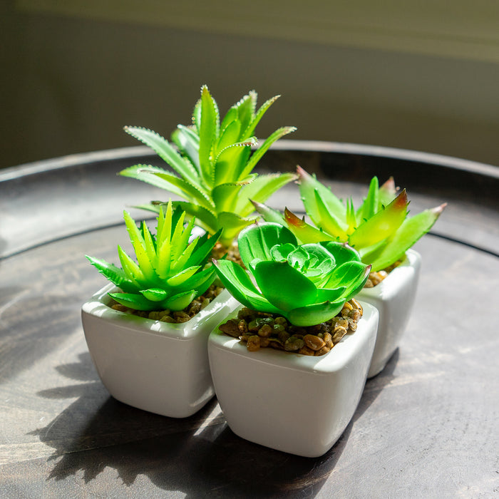 Red Co. Set of 4 Assorted Decorative Faux Succulents, Artificial Potted Plants for Home or Office, Mini