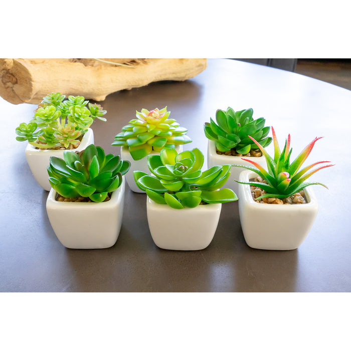 Red Co. Set of 6 Assorted Decorative Faux Succulents, Artificial Potted Plants for Home or Office, Mini