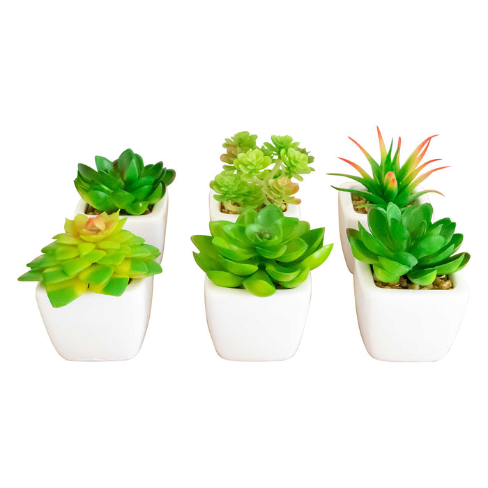 Red Co. Set of 6 Assorted Decorative Faux Succulents, Artificial Potted Plants for Home or Office, Mini