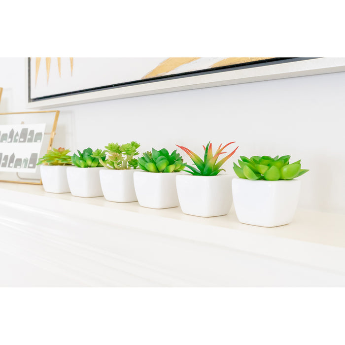 Red Co. Set of 6 Assorted Decorative Faux Succulents, Artificial Potted Plants for Home or Office, Mini