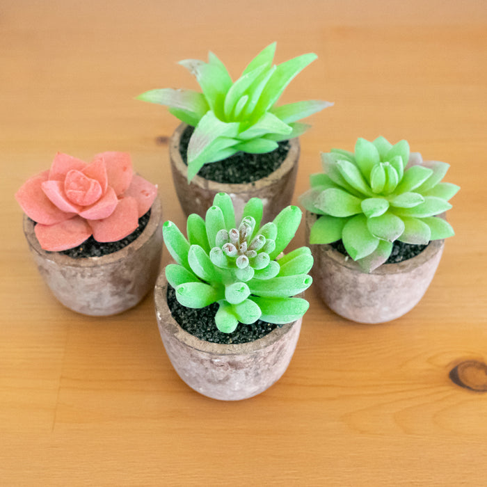Red Co. Set of 4 Assorted Decorative Faux Succulents, Artificial Potted Plants for Home or Office, Mini