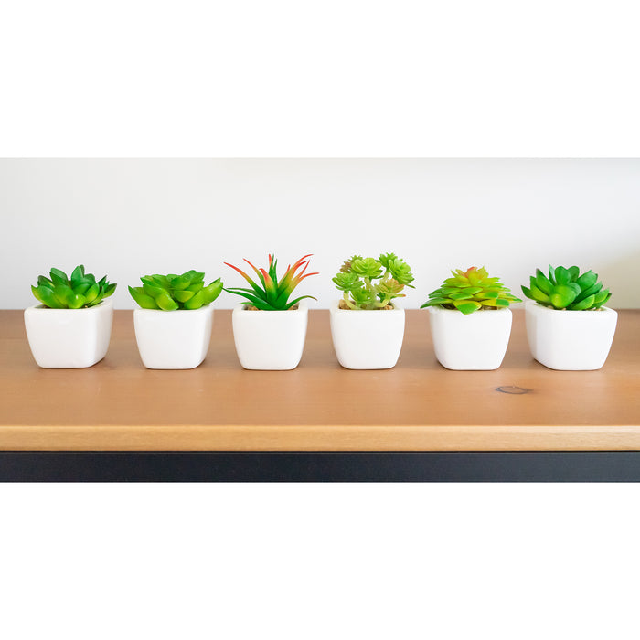 Red Co. Set of 6 Assorted Decorative Faux Succulents, Artificial Potted Plants for Home or Office, Mini