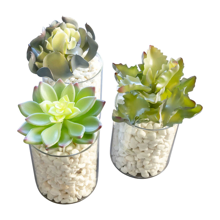Set of 3 Assorted Decorative Faux Succulents, Artificial Potted Plants for Home or Office, Medium
