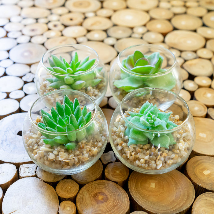Red Co. Set of 4 Assorted Decorative Faux Succulents, Artificial Potted Plants for Home or Office, Small