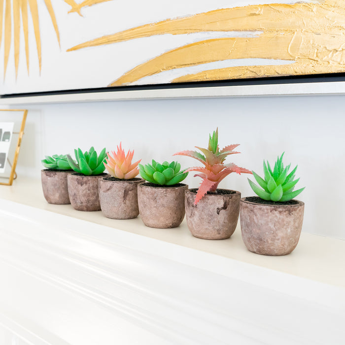 Red Co. Set of 6 Assorted Decorative Faux Succulents, Artificial Potted Plants for Home or Office, Mini