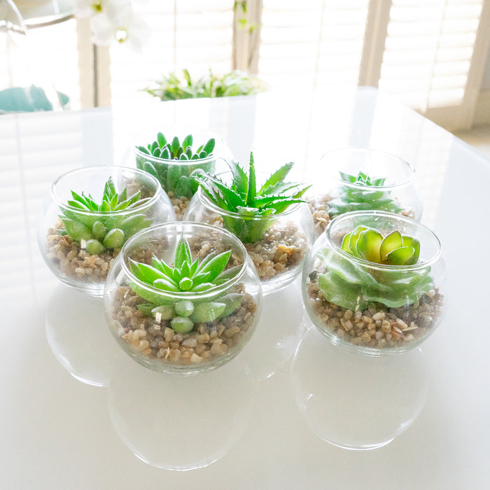 Red Co. Set of 6 Assorted Decorative Faux Succulents, Artificial Potted Plants for Home or Office, Small