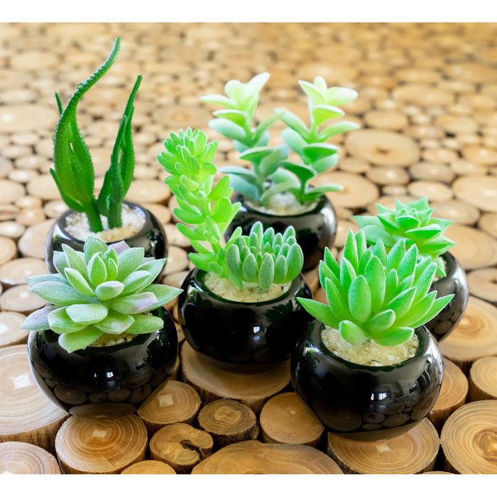 Red Co. Set of 6 Assorted Decorative Faux Succulents, Artificial Potted Plants for Home or Office, Mini