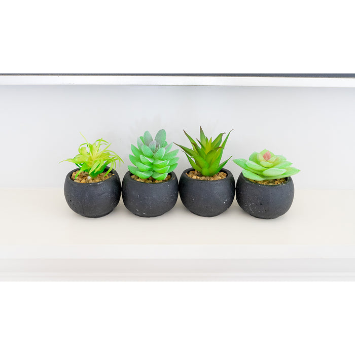 Red Co. Set of 4 Assorted Decorative Faux Succulents, Artificial Potted Plants for Home or Office, Small