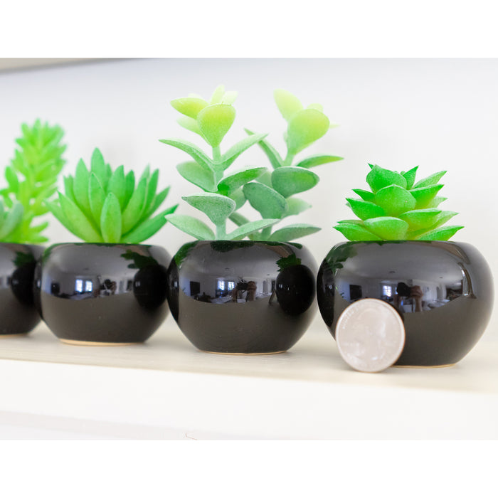 Red Co. Set of 6 Assorted Decorative Faux Succulents, Artificial Potted Plants for Home or Office, Mini
