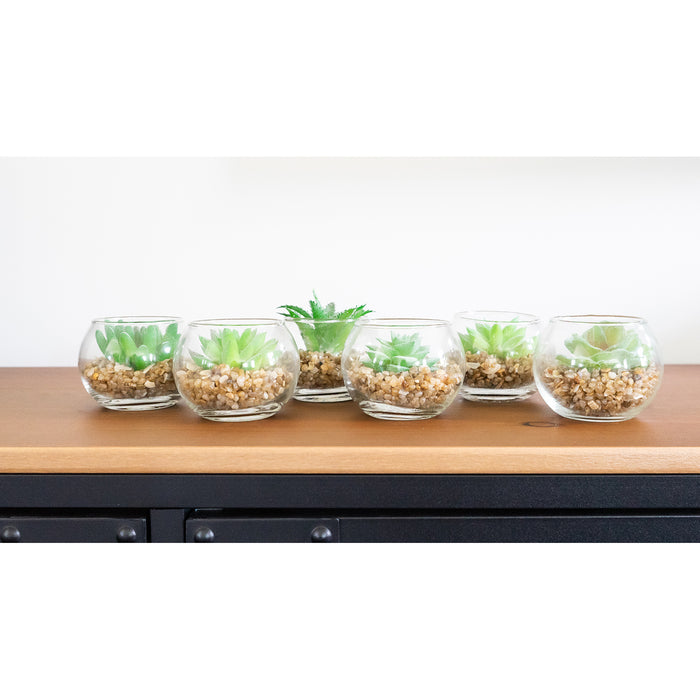 Red Co. Set of 6 Assorted Decorative Faux Succulents, Artificial Potted Plants for Home or Office, Small