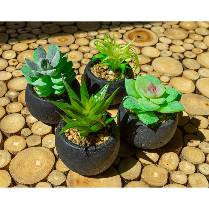 Red Co. Set of 4 Assorted Decorative Faux Succulents, Artificial Potted Plants for Home or Office, Small