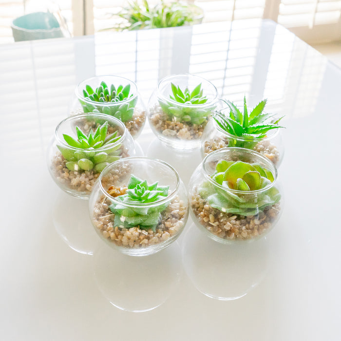 Red Co. Set of 6 Assorted Decorative Faux Succulents, Artificial Potted Plants for Home or Office, Small