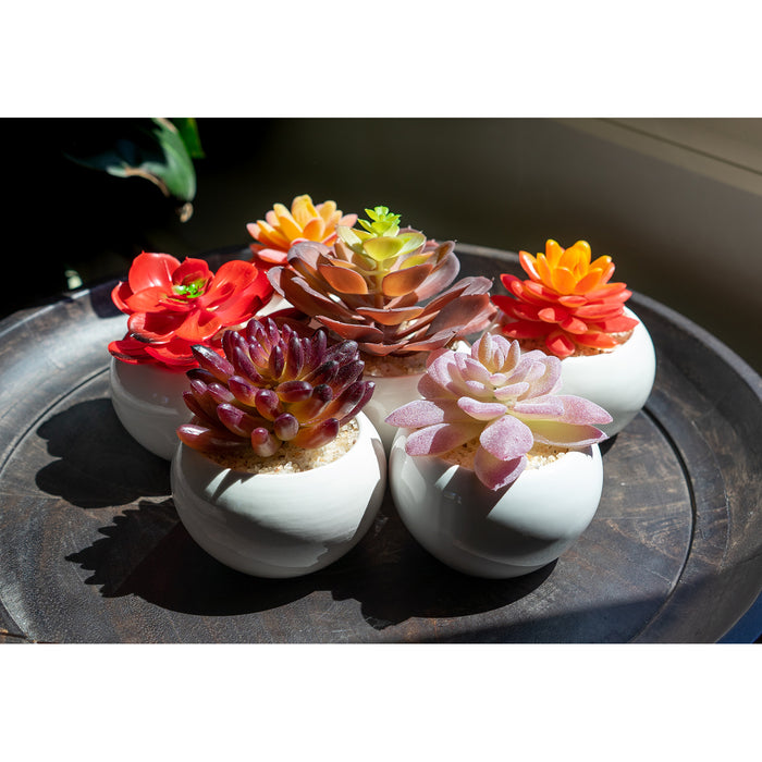 Red Co. Set of 6 Assorted Decorative Faux Succulents, Artificial Potted Plants for Home or Office, Small