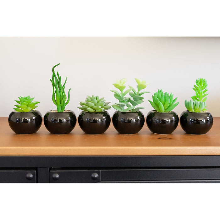 Red Co. Set of 6 Assorted Decorative Faux Succulents, Artificial Potted Plants for Home or Office, Mini