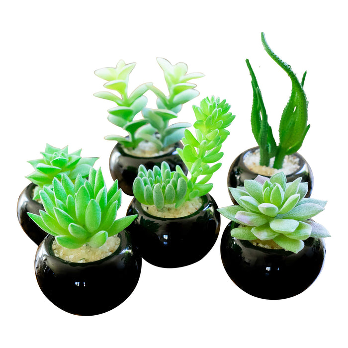 Red Co. Set of 6 Assorted Decorative Faux Succulents, Artificial Potted Plants for Home or Office, Mini