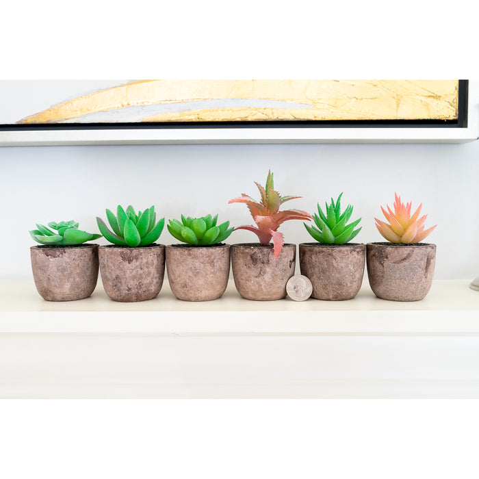Red Co. Set of 6 Assorted Decorative Faux Succulents, Artificial Potted Plants for Home or Office, Mini